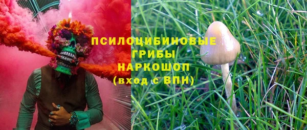 прущие грибы Елизово