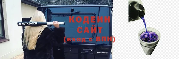 PSILOCYBIN Ельня