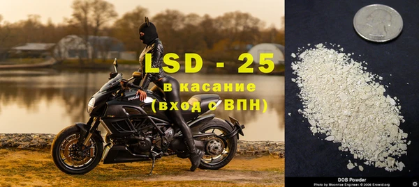 PSILOCYBIN Ельня