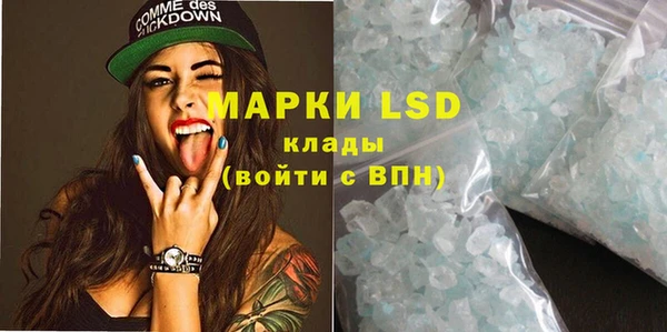 PSILOCYBIN Ельня