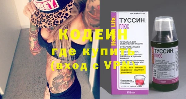 прущие грибы Елизово