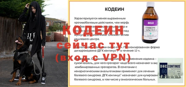 стаф Дмитровск