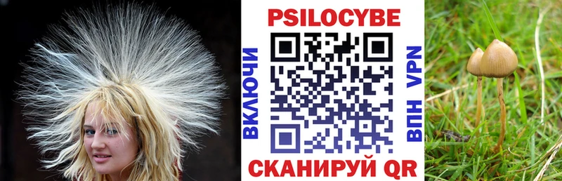 закладка  MEGA ссылка  Галлюциногенные грибы ЛСД  Плавск 