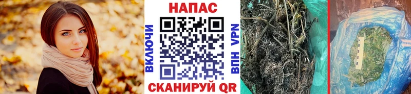 Шишки марихуана Amnesia  мега рабочий сайт  Плавск 